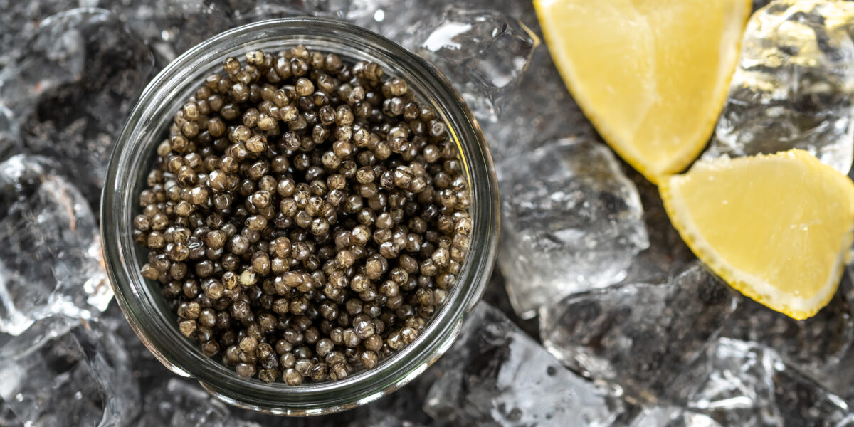 Caviar on Ice