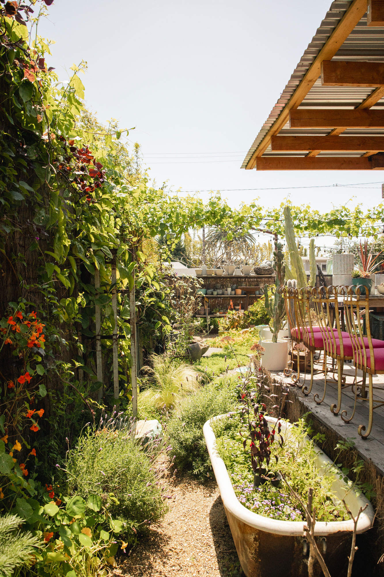 Chaos Gardening Backyard by Big Red Sun