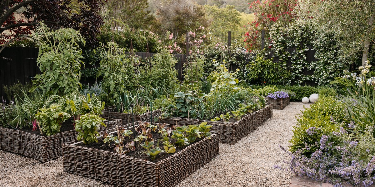 Christian Douglas Design Raised Beds