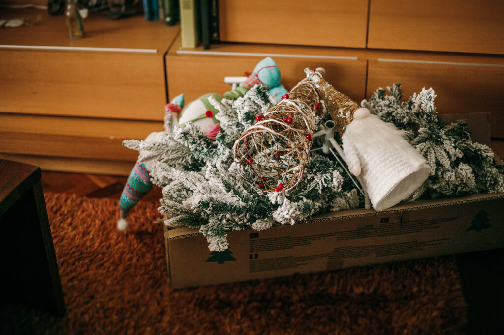 Christmas Decorations Boxes Organizing