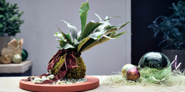 This Trending Japanese Plant Is the Most Dramatic Holiday Centerpiece We’ve Seen