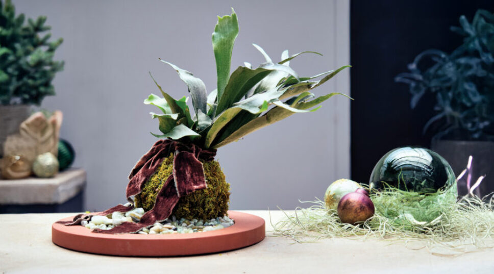 This Trending Japanese Plant Is the Most Dramatic Holiday Centerpiece We've Seen