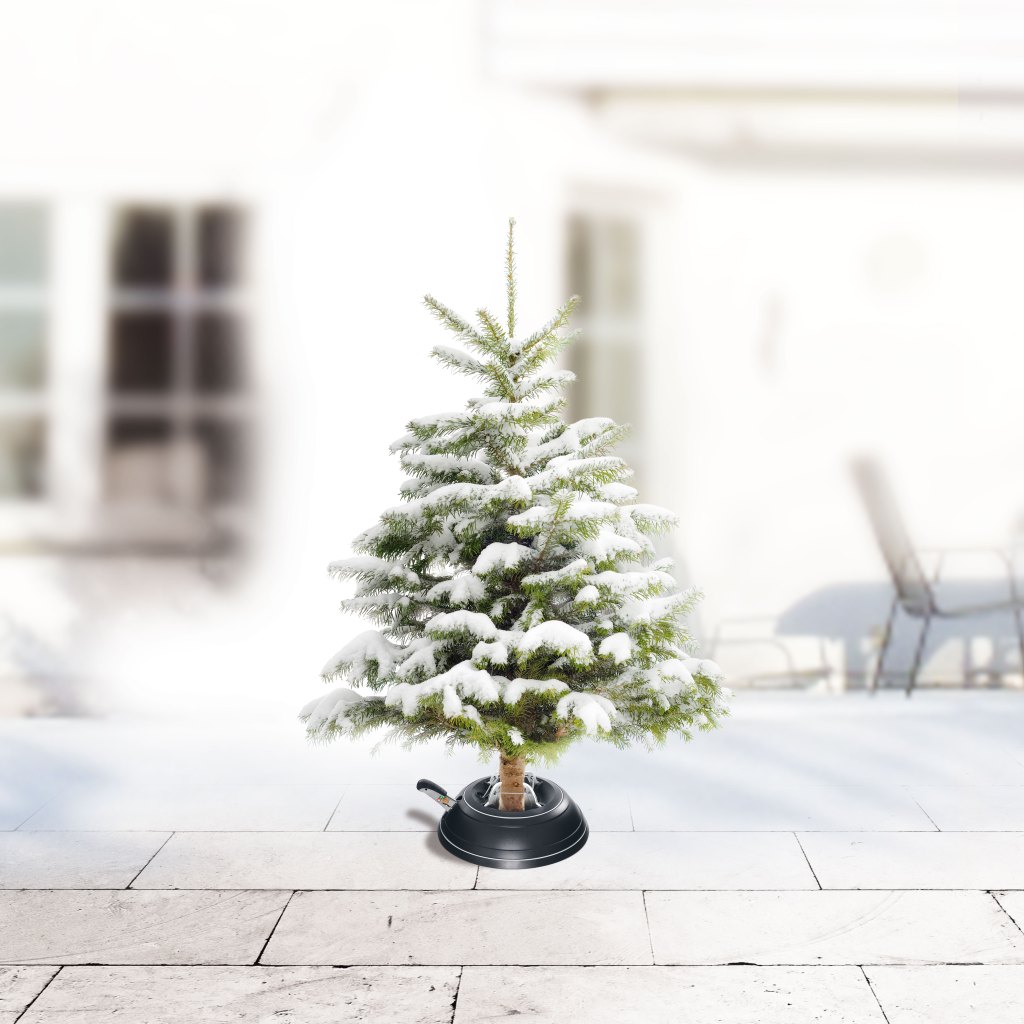 Sunset Loves: The Krinner Tree Stand