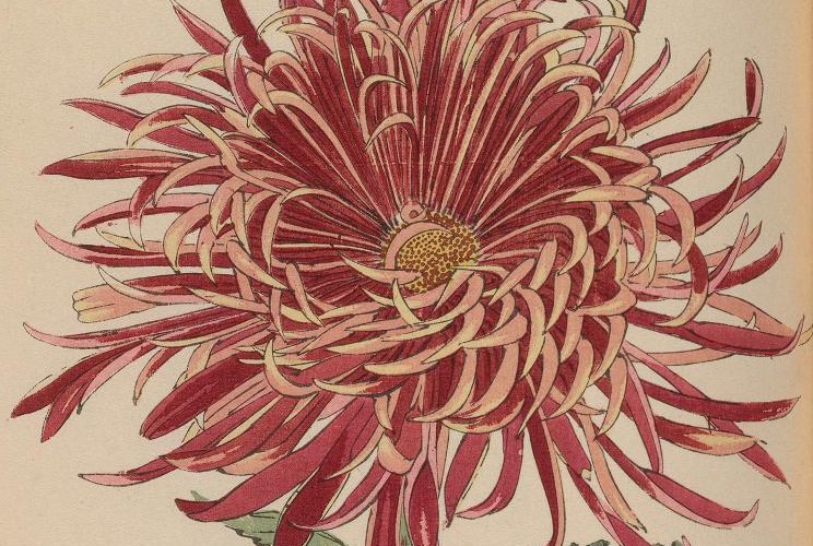 These Tattoo Artists Will Inspire You to Get a Botanical Design