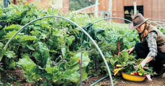 Clare Carver in Garden