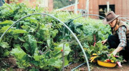 Clare Carver in Garden