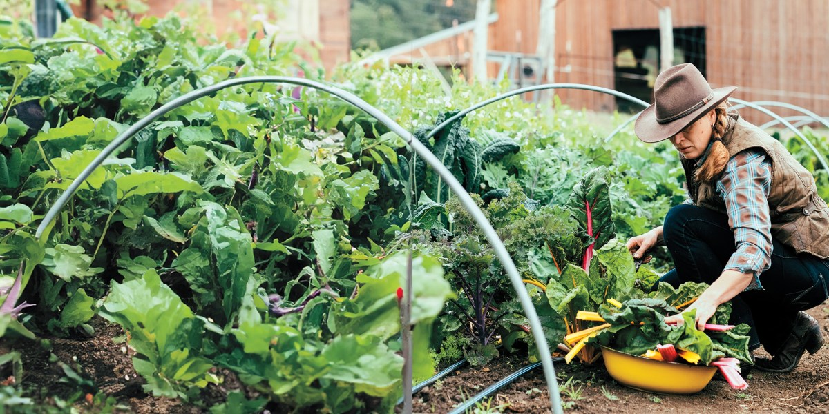 Clare Carver in Garden