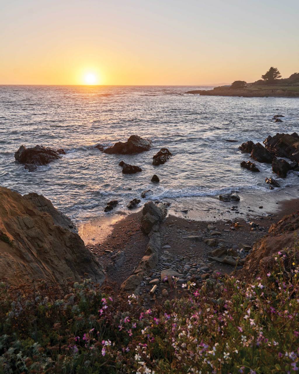 Fresh Seafood to Chic Hideaway Hotels: The Ultimate Central California Road Trip