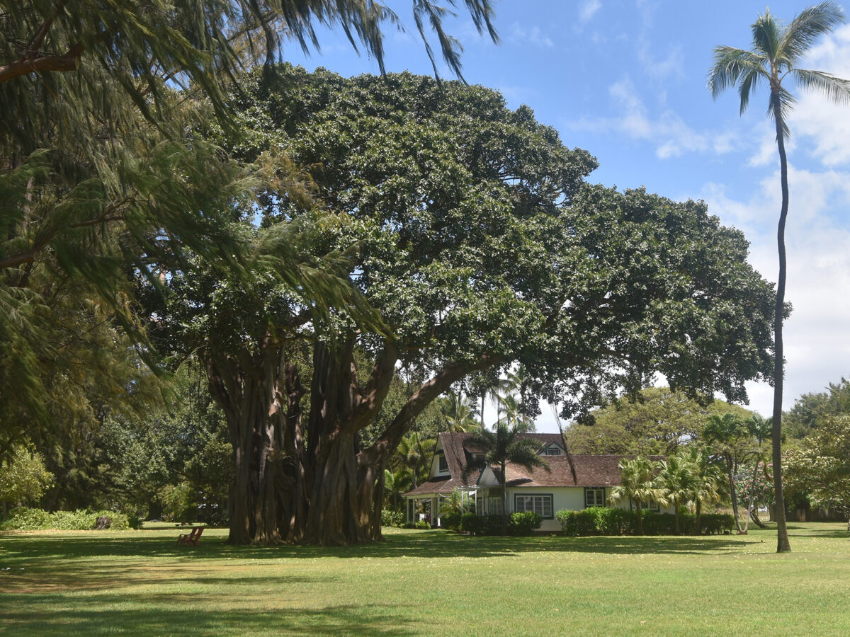 Waimea Plantation Cottages