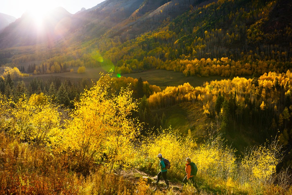 Colorado's Fall Color Will Be the Best in Years—Here’s Where to See It