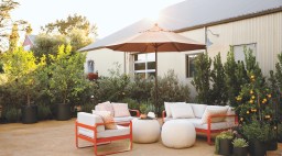 patio tree container garden