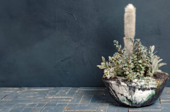 Cactus in a Textured Ceramic Bowl