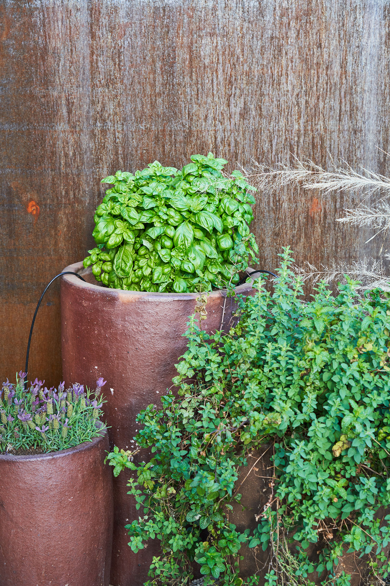 Container Pots Herb Garden