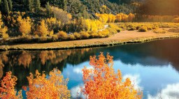 Fall foliage at Convict Lake