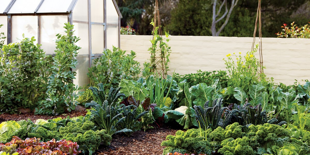 Cornerstone Vegetable Garden Trellis