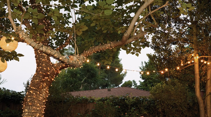 From Dried Citrus Garlands to Group Cocktails, These Entertaining Pros Share Their Holiday Secrets