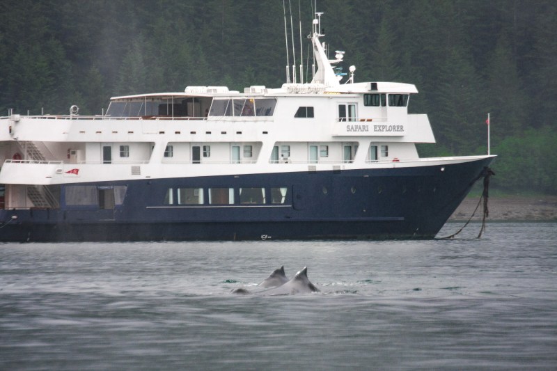 AdventureSmith Explorations – Circumnavigate Alaska’s Prince William Sound on an Active Yacht