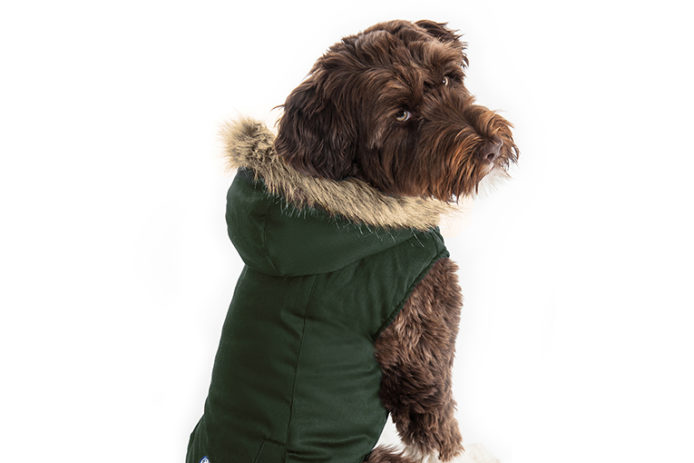 north fetch rain jacket for dogs