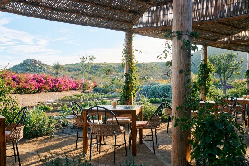 Cosecha at Hotel San Cristóbal