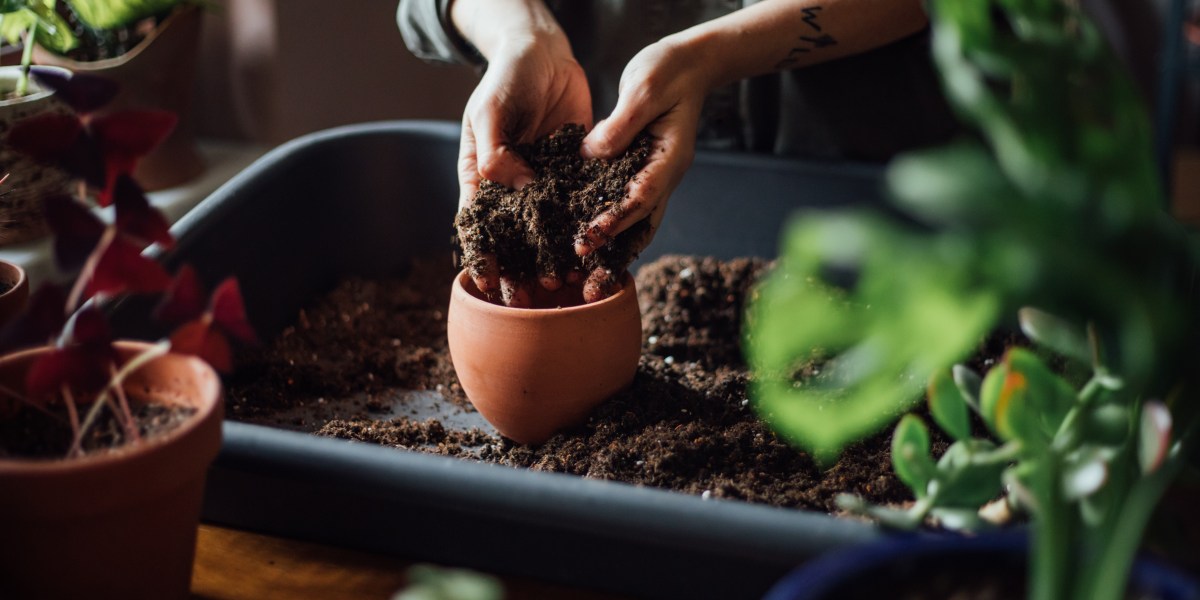 hand creams for gardeners