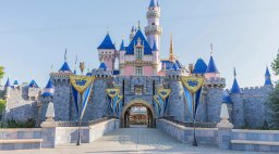 Disneyland Castle