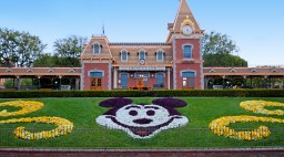 Mickey Mouse Floral Design at Disneyland
