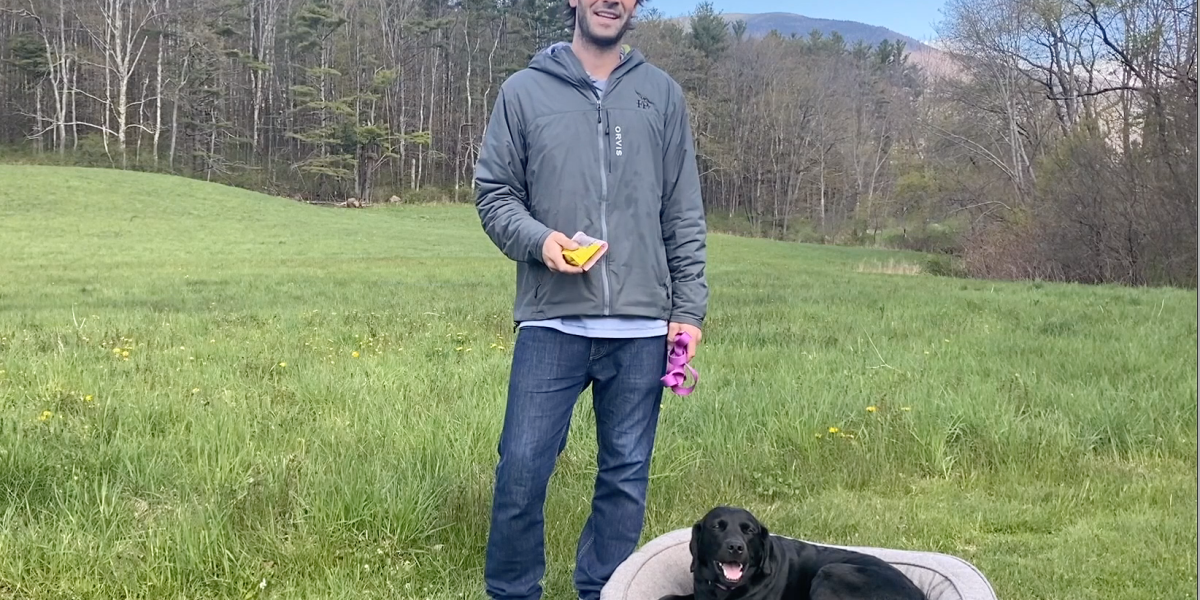 Charlie Perkins Dog Training