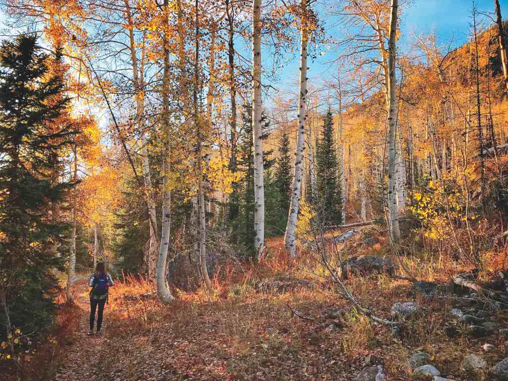 Access to Nature Is off the Charts in These Four Towns