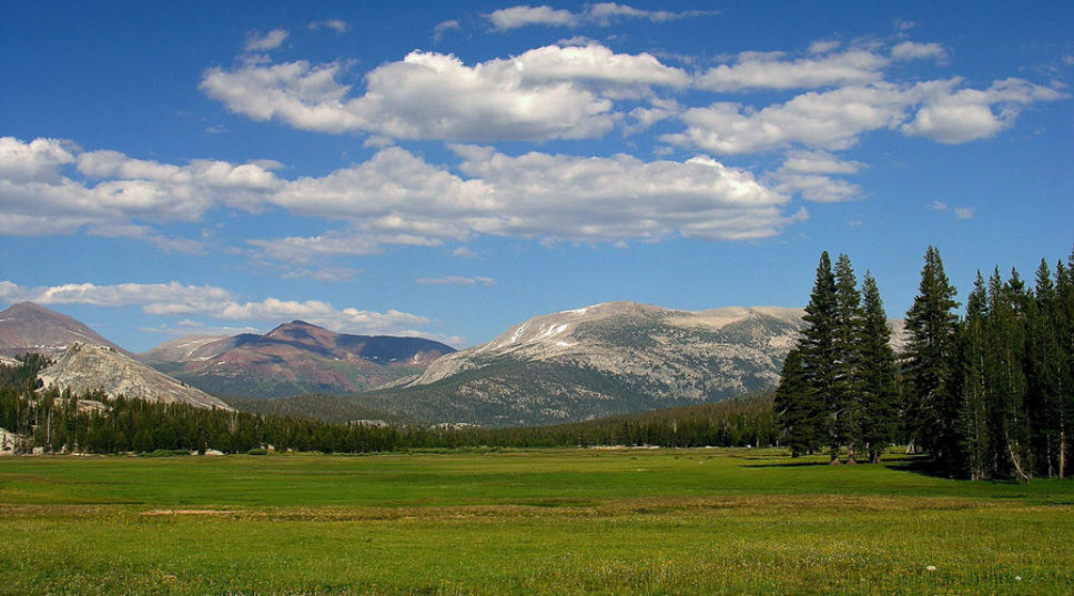 Top Wow Spots of Yosemite