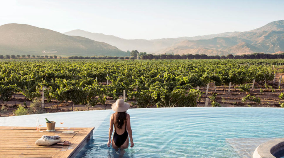 The West’s New Hottest Wine Region Is South of the Border