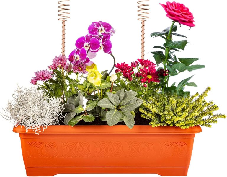 Here's What to Know About the Electroculture Gardening Trend  Sunset  Magazine