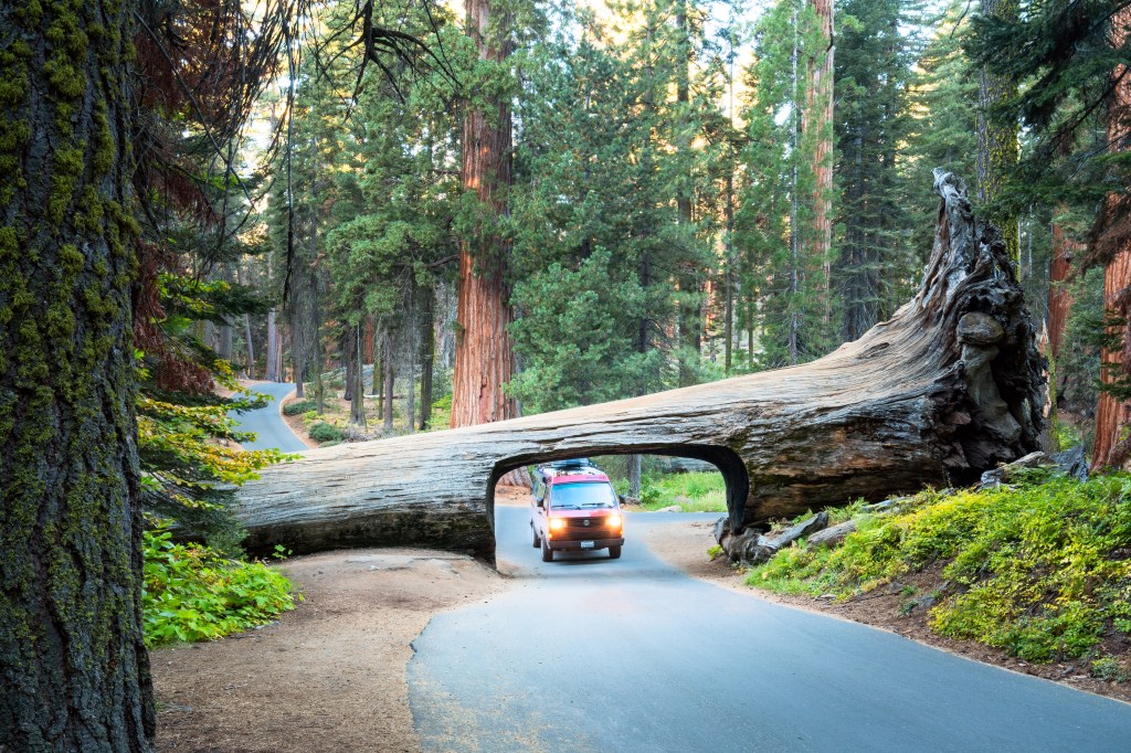 Sequoia National Park Will Soon Have Cell Service