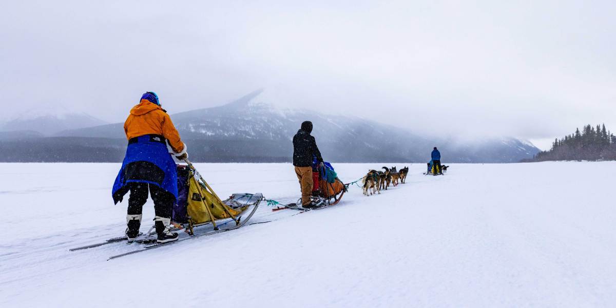 Sled Dogs on a Frozen Lake