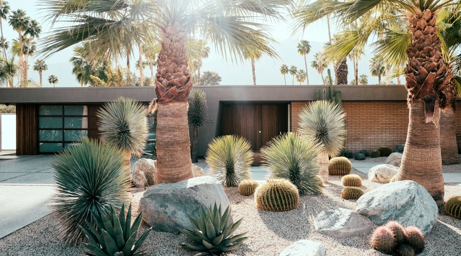 palm-springs-perfect