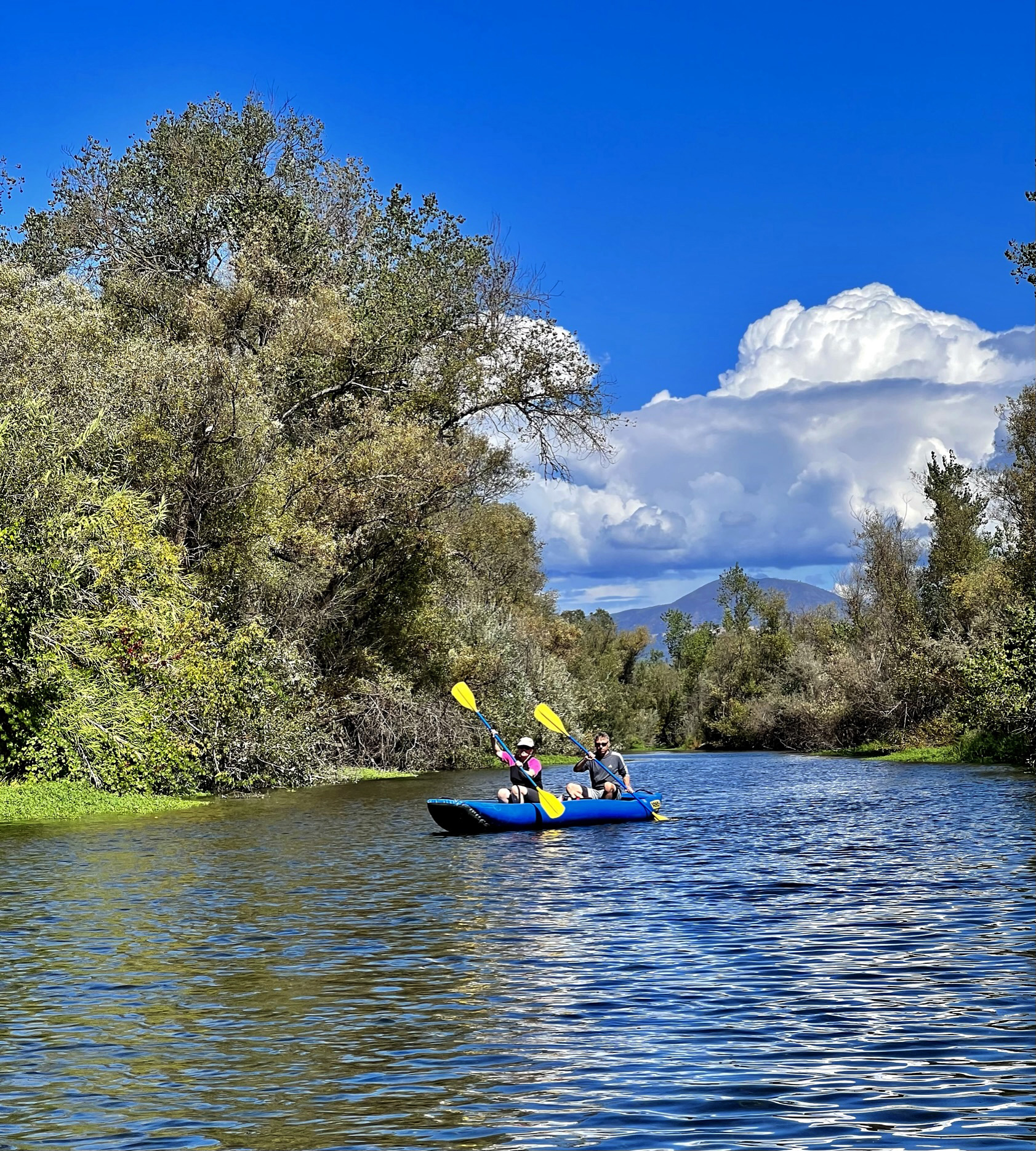 merrily-down-the-stream