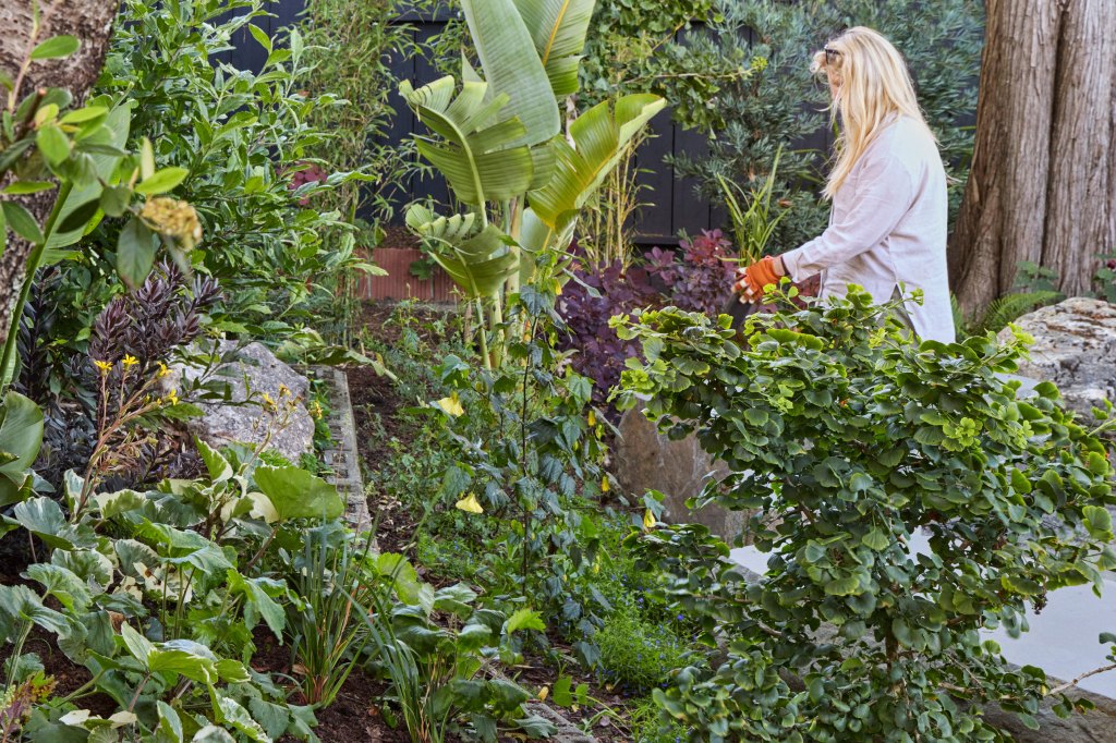 The 10 Best Landscape Projects to Tackle Before Fall Planting Season