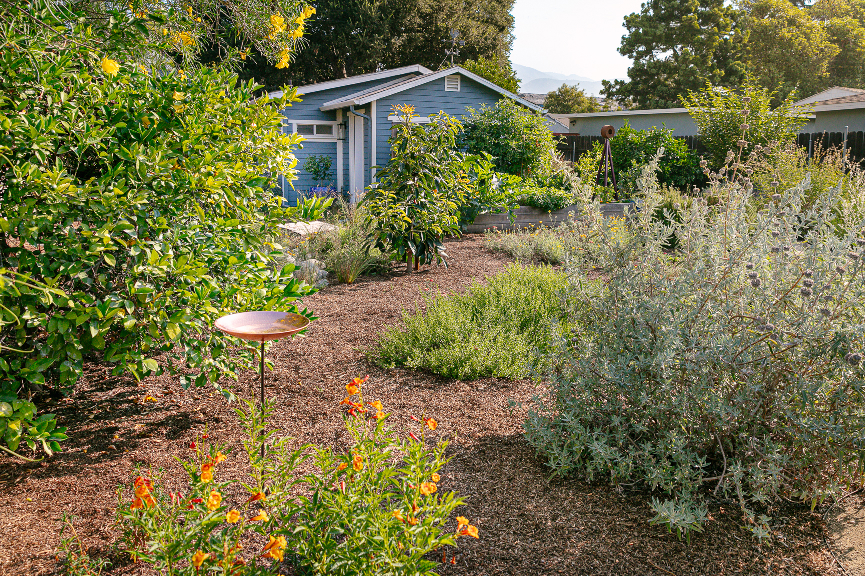 Farmscape Garden