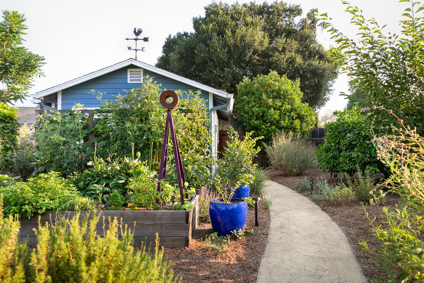 Farmscape Garden Path