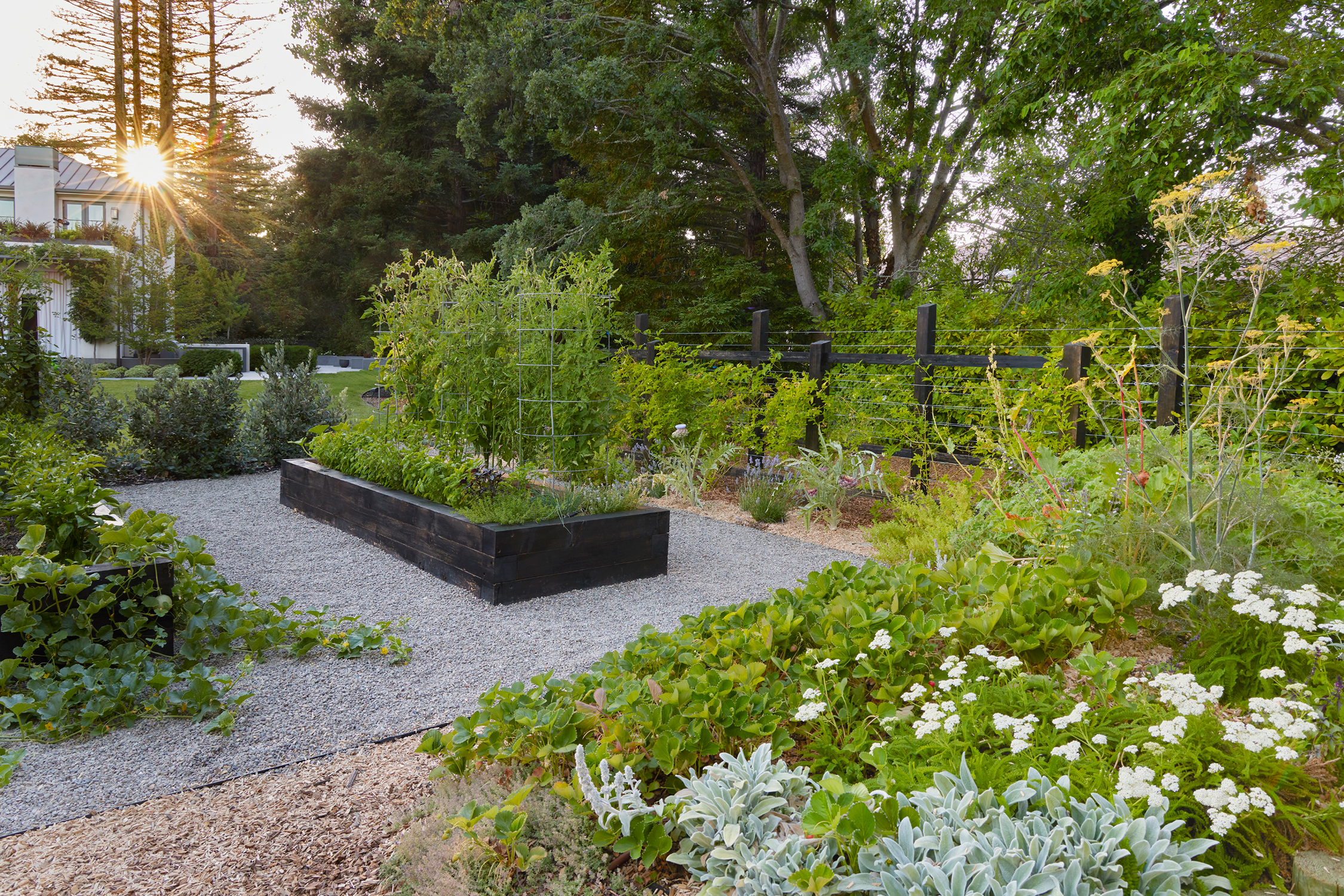 Farmscape Raised Bed