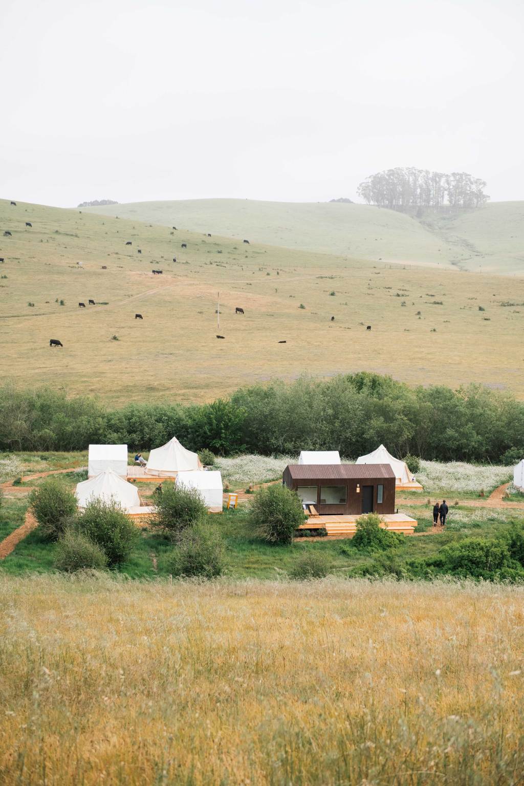 The Future of Farmstays: Agritourism Gets a Brand New Look in California