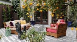 An orange tree hangs over two square, raw concrete fire pits