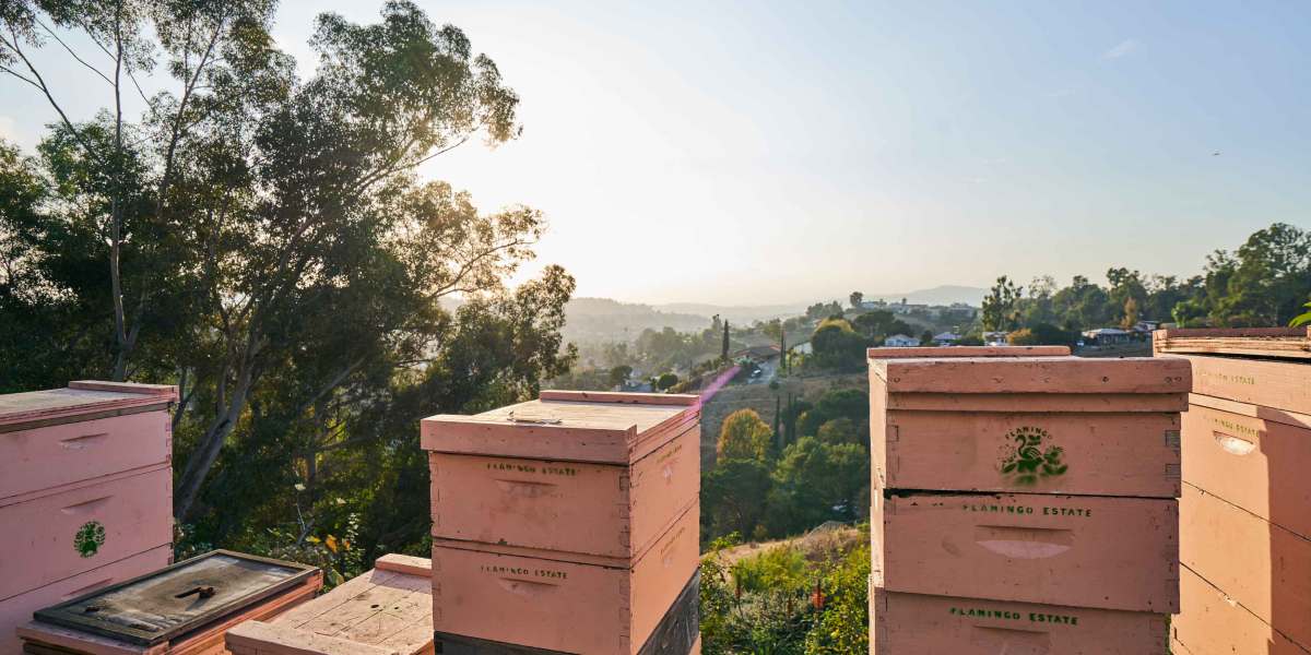 Hives on a Hill