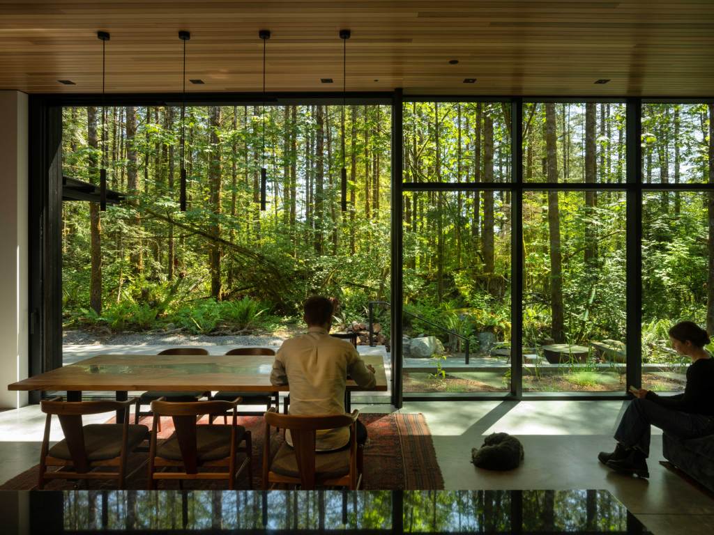 What You Should Know Before Planting a Shade Garden