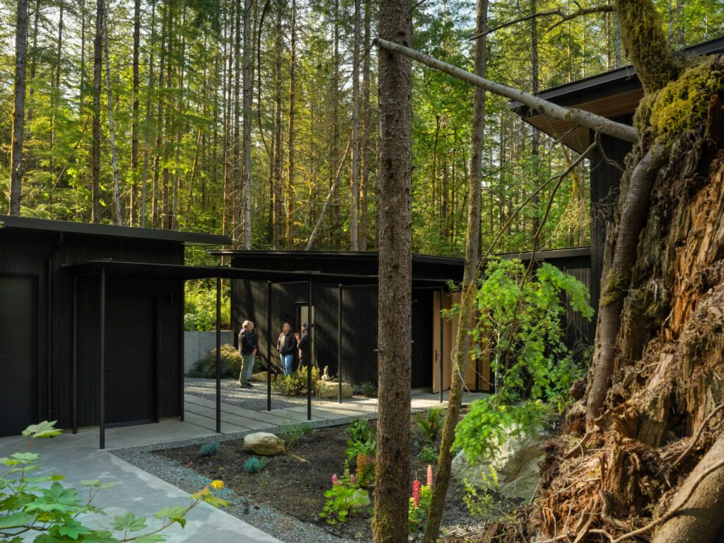 Working with a Shade Garden Landscape