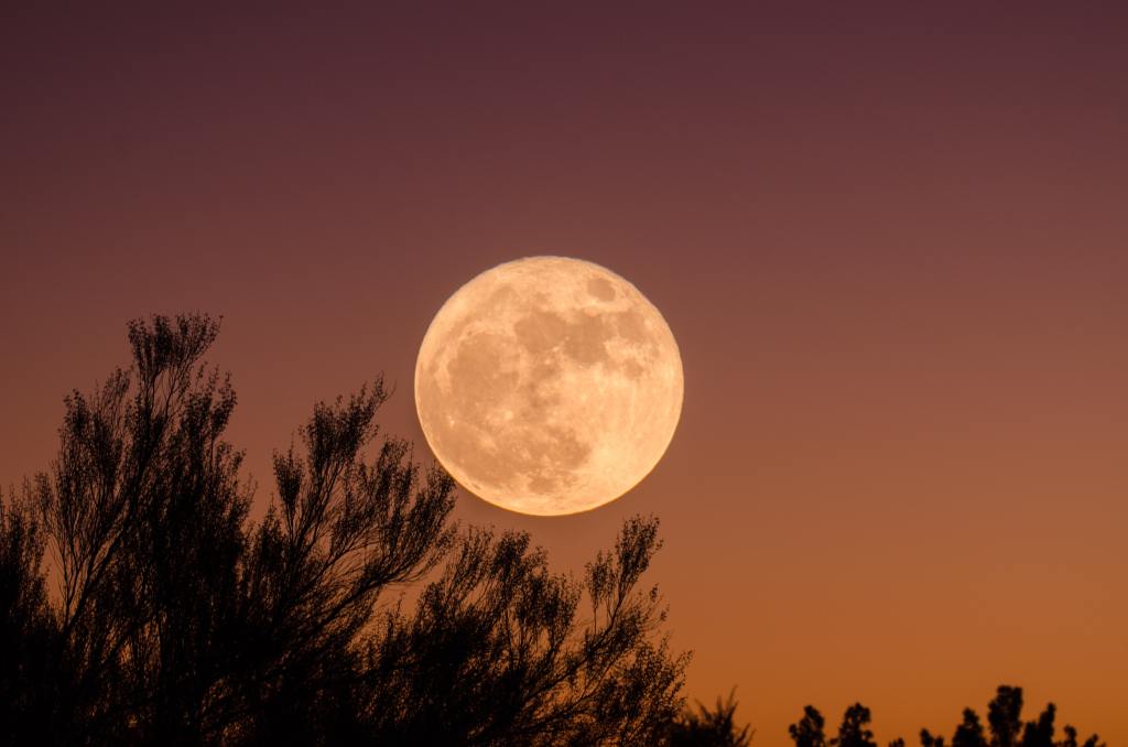 Don’t Miss Tonight’s Pink Supermoon