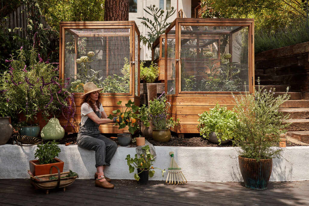 Garden Beds in Emma Flanders LA Garden