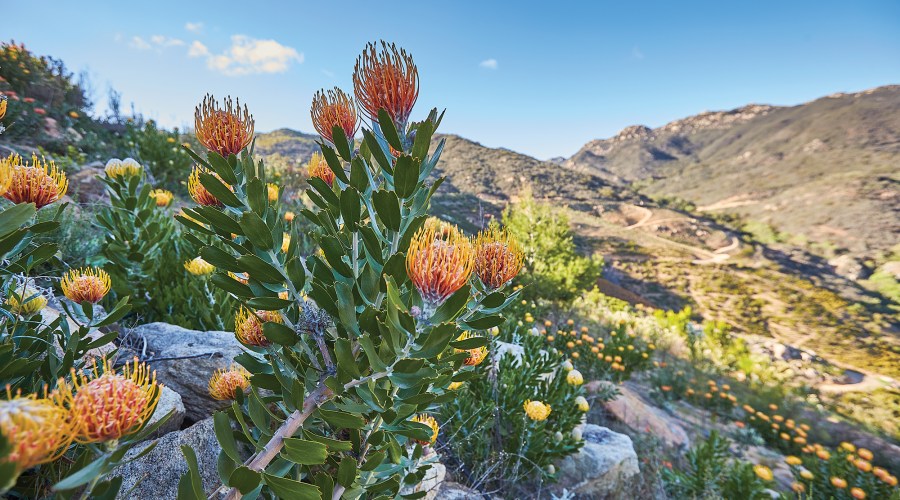 Don’t Put Away Your Tools Just Yet: Your December and January Garden Checklist