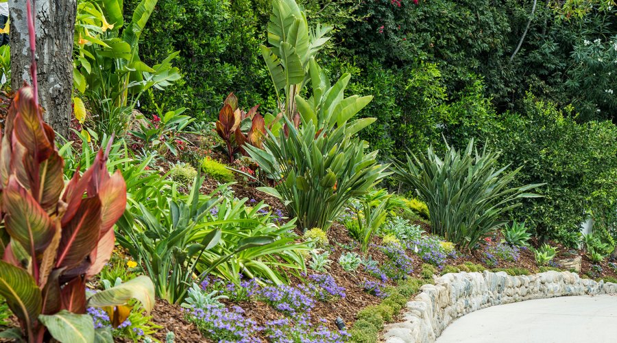 The Number One Garden Task You Can't Skip This Spring (And How to Do It Right)