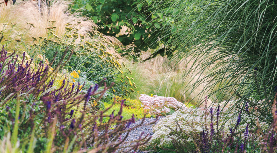 Great Garden Paths - Sunset Magazine