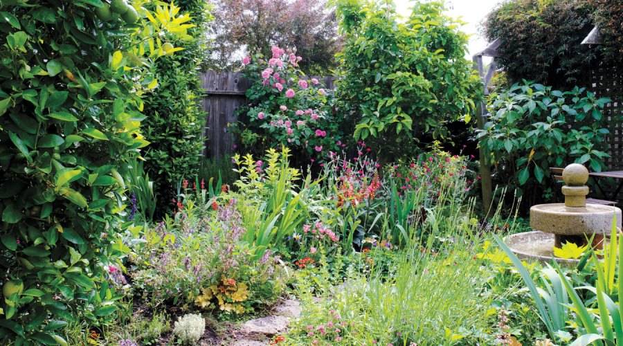 How to Create a Summer Garden That Smells Amazing